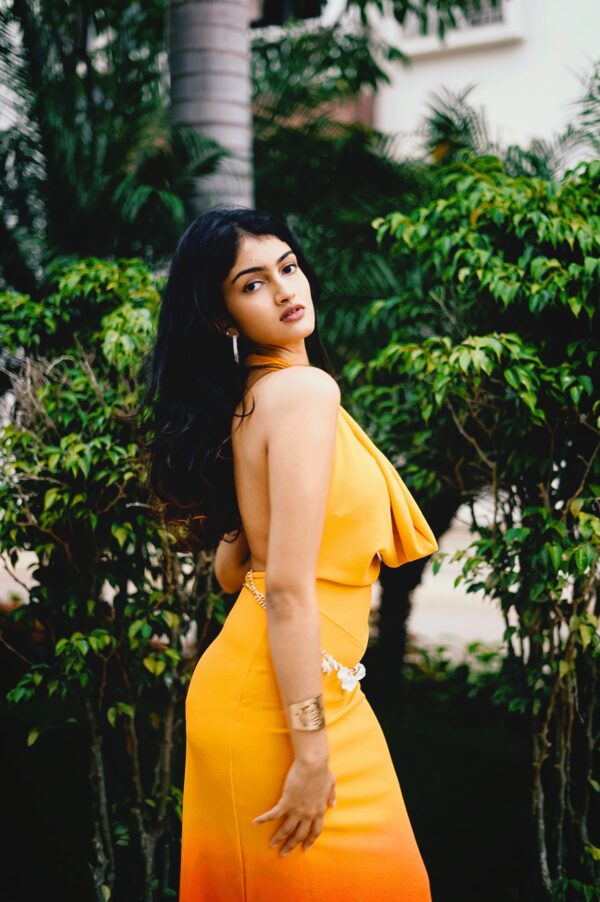Golden Hour - Image 2